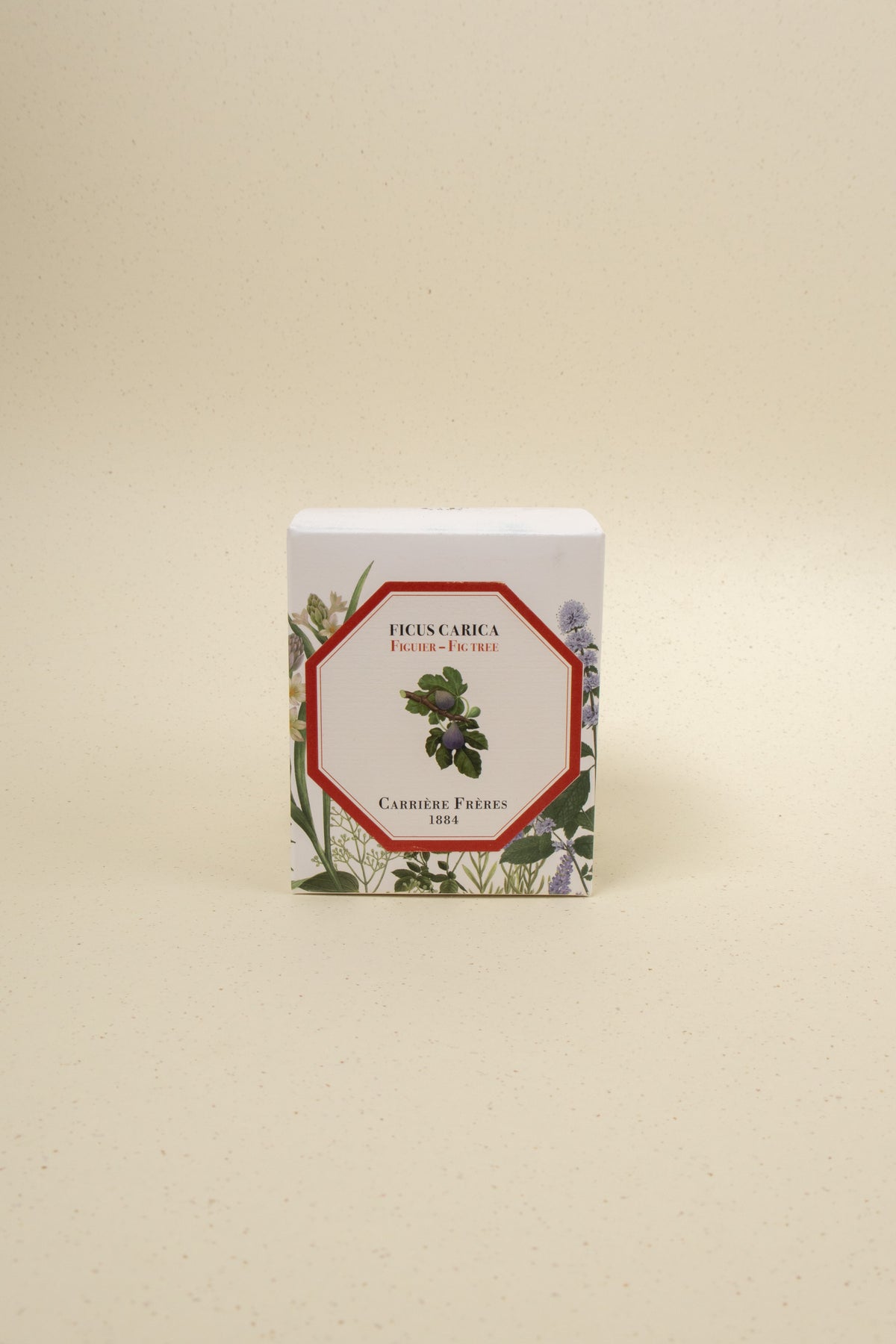 Carrière Frères Fig Tree scented candle with a sleek glass holder and natural beige wax, showcasing a calming, botanical-inspired design.