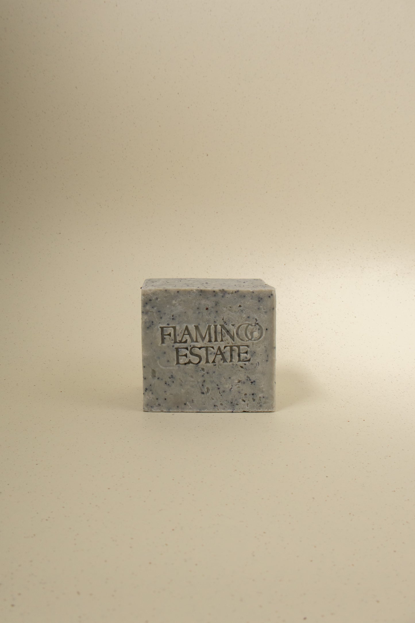 Morning Exfoliating Bar Soap Brick - Scented