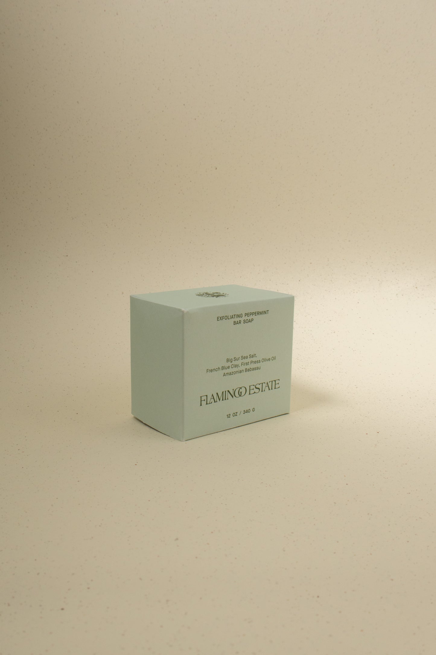 Morning Exfoliating Bar Soap Brick - Scented